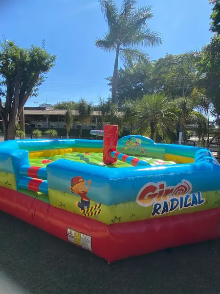 Foto do brinquedo Giro Radical