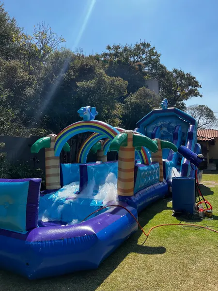 Tobogã Slide 3 em 1 Golfinho montado em um quintal com gramado