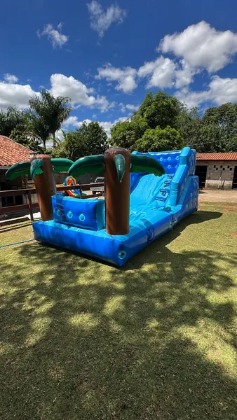 Foto do brinquedo Mini Splash