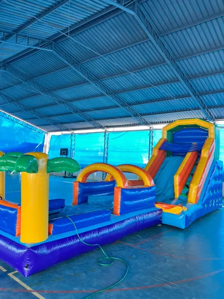 Foto do brinquedo Tobogã Tropical